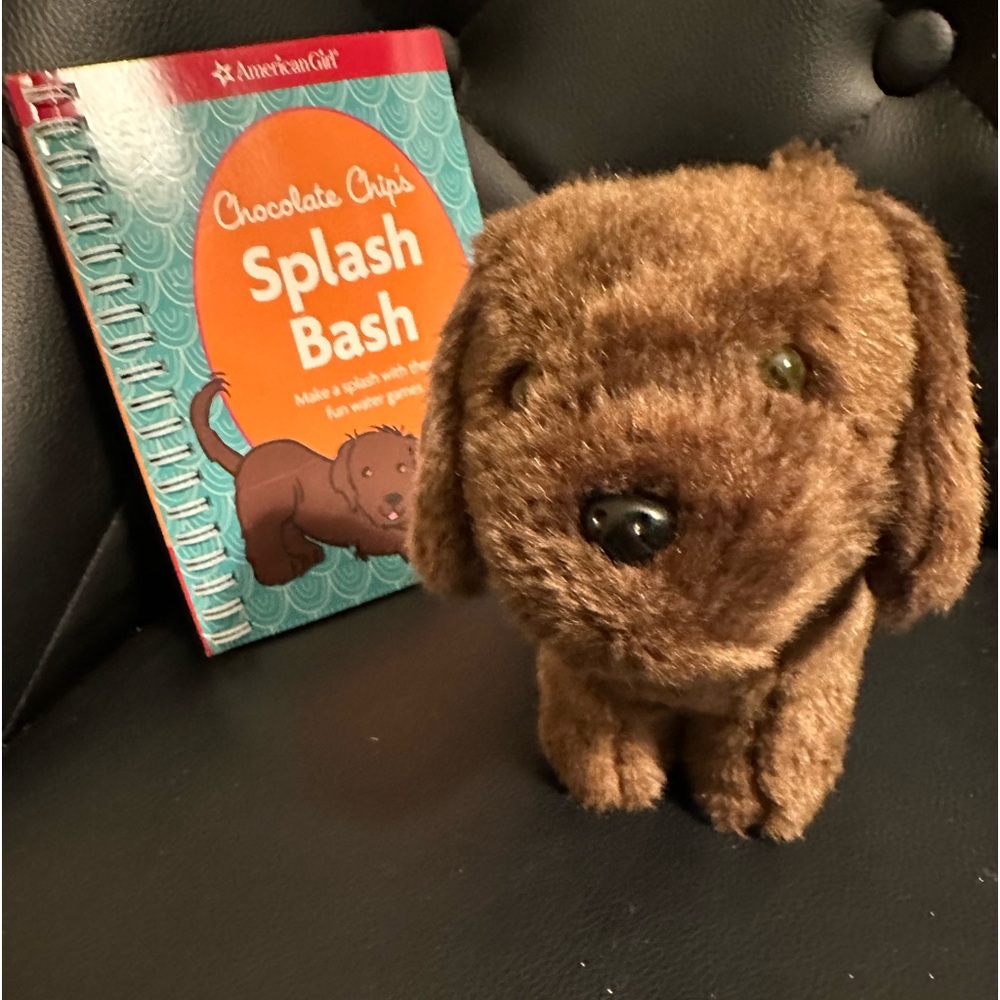 American Girl Chocolate Chip Lab & Book EUC